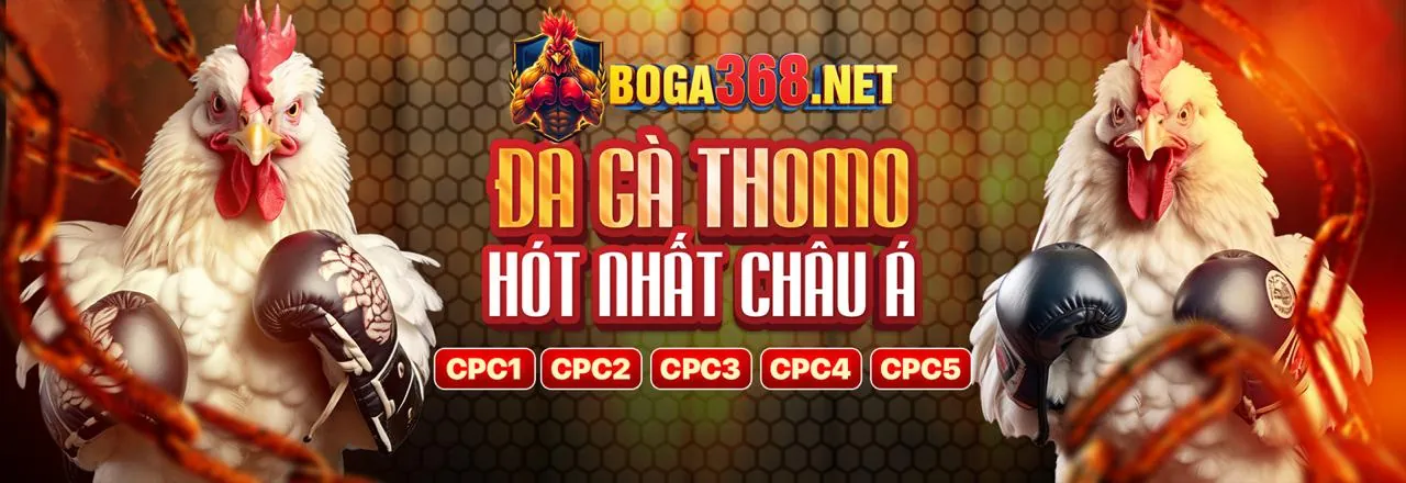 Tổng quan các chương trình khuyến mãi độc quyền THABET 2024